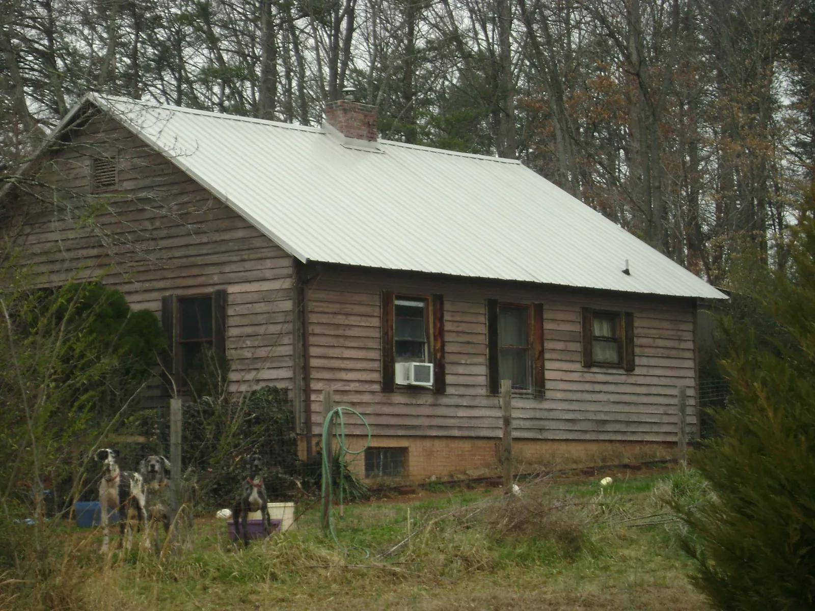 White metal roof on an old wood sided farmhouse, from a Metal Roof Installation job in Frankewing
